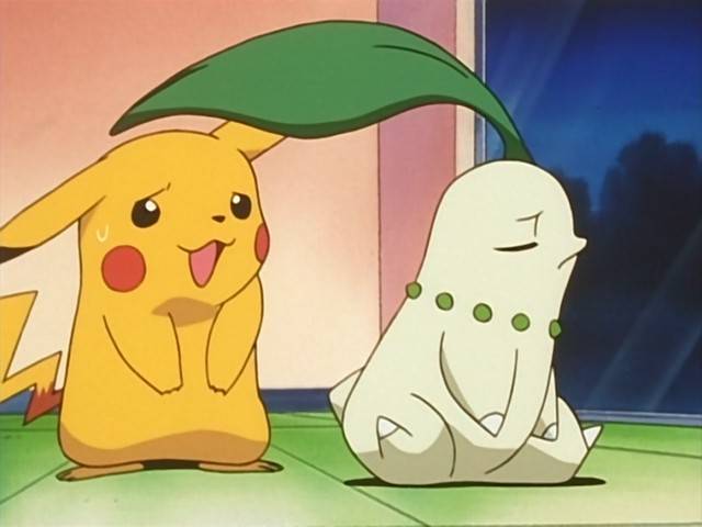 Capitulo 20 Temporada 3: Los Celos De Chikorita