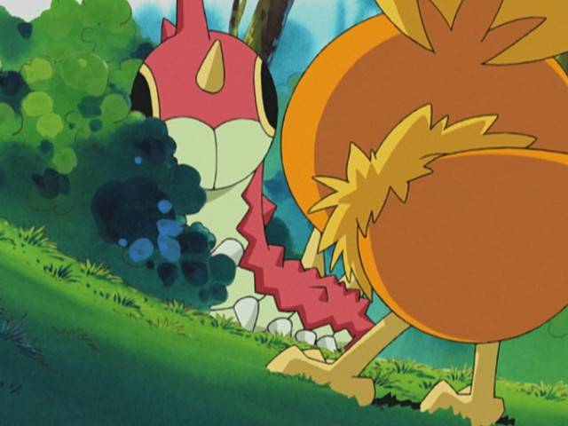 Capitulo 14 Temporada 6: Atrapen Un Wurmple