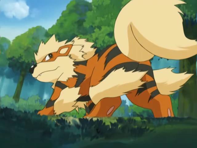 Capitulo 46 Temporada 8: En La Nube De Arcanine