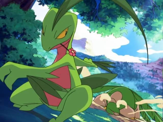 Capitulo 16 Temporada 9: La Evolución De Grovyle