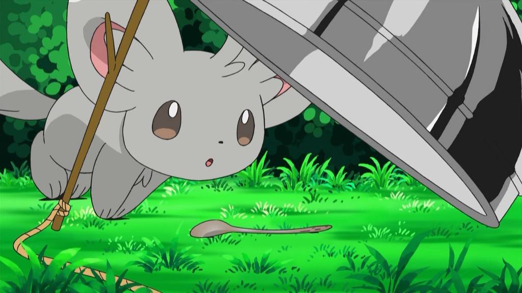 Capitulo 13 Temporada 14: ¡Minccino limpio y prodijo!