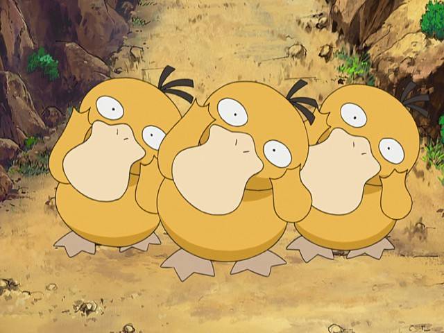 Capitulo 35 Temporada 11: Los Psyducks llegaron ya