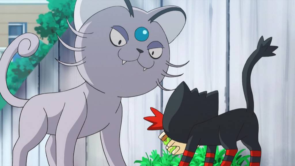 Capítulo 7 Temporada 20  ¡Por eso Litten es un ladrón!